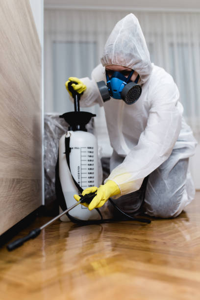 Emergency Pest Control Services in Donna, TX